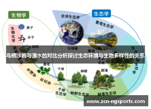 鸟栖沙岩与清水的对比分析探讨生态环境与生物多样性的关系