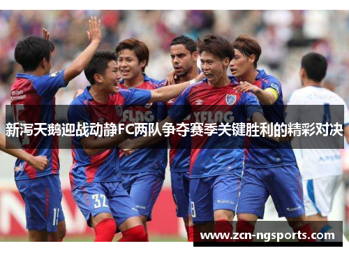 新泻天鹅迎战动静FC两队争夺赛季关键胜利的精彩对决